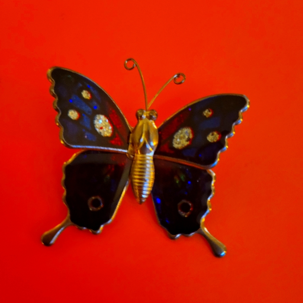 Butterfly pin